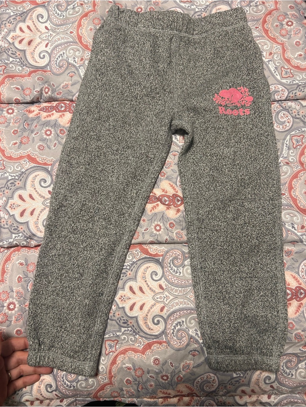 Size 4T roots pants